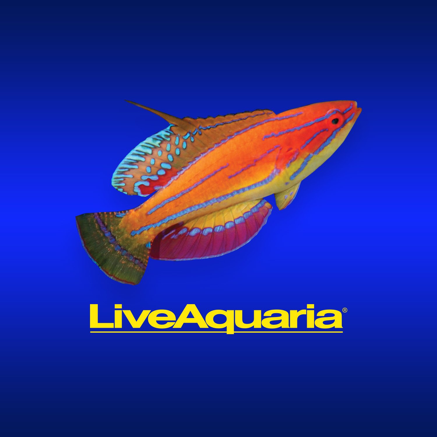 LiveAquaria